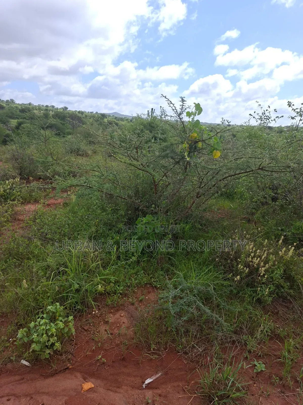 1⁄8 Acre Plots for Sale -Matuu in Matuu