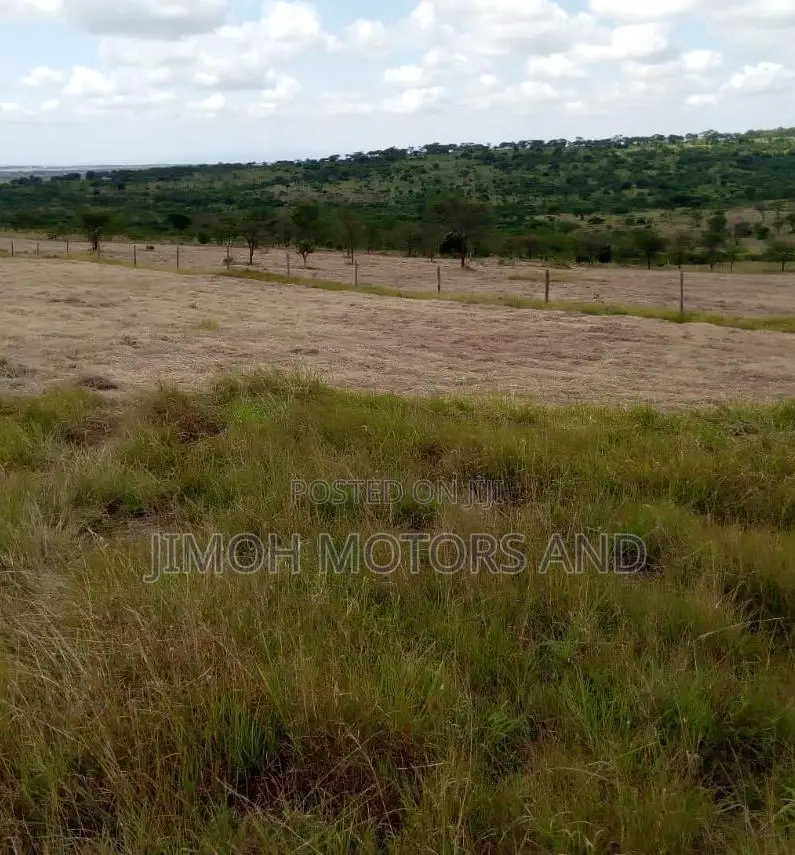 Transform your dream of owning land into a reality. Our affordable plots offer a prime location with easy access to all the essentials in Parklands/Highridge