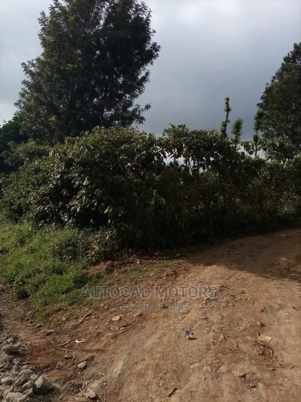 Affordable 1/8 Banana-Kawaida Title Plot - Ideal for Development in Nairobi Central
