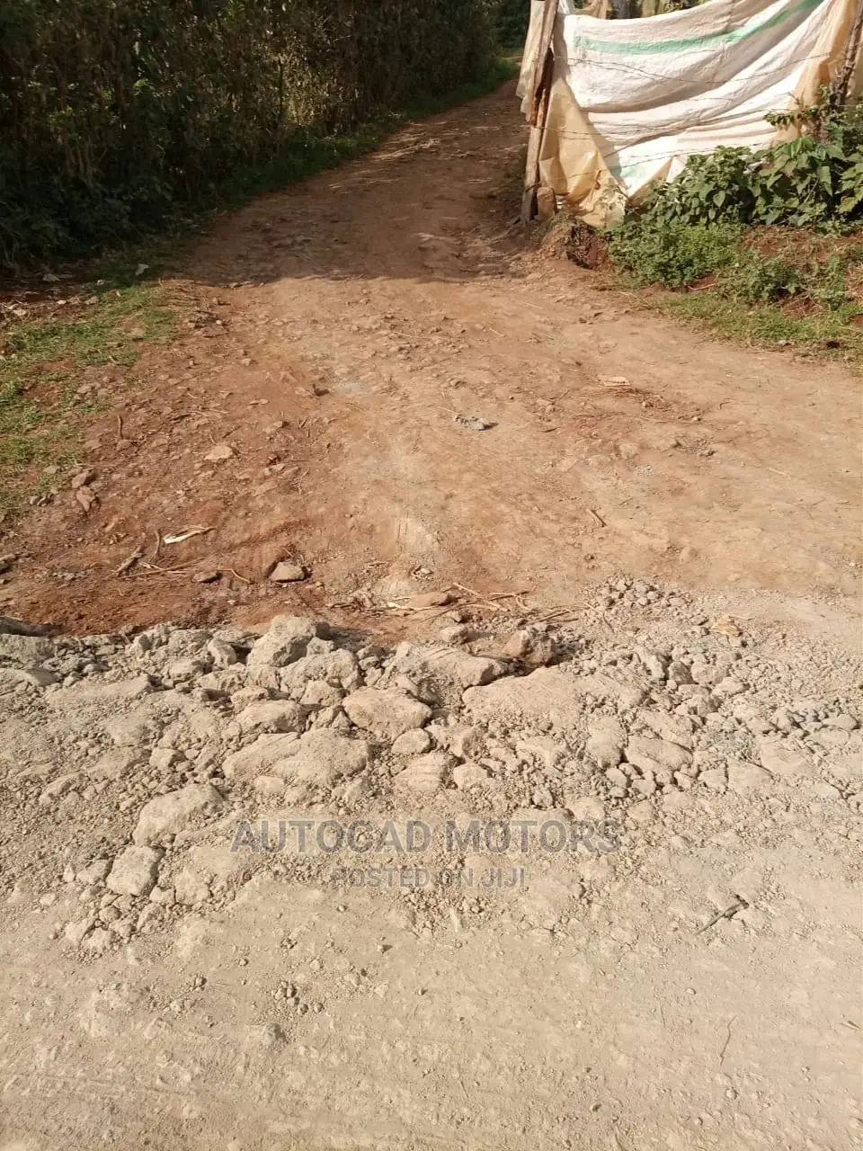 Affordable 1/8 Banana-Kawaida Title Plot - Ideal for Development in Nairobi Central