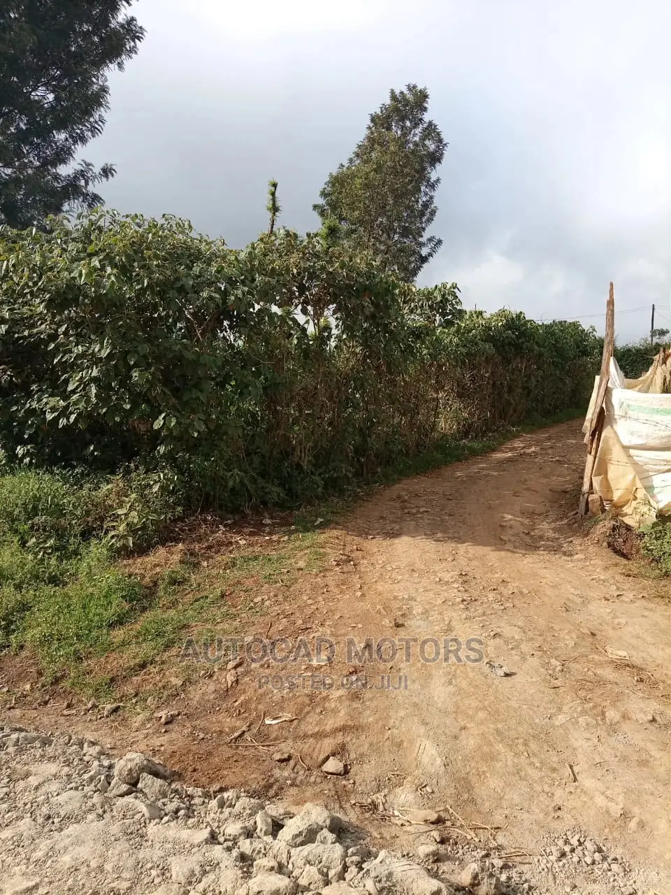 Affordable 1/8 Banana-Kawaida Title Plot - Ideal for Development in Nairobi Central