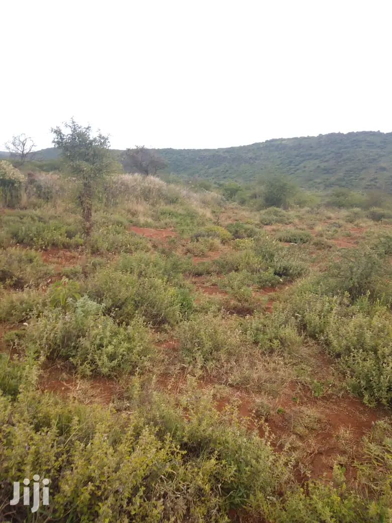 10-Acre Parcel on Serachi Road: 190k Per Acre in Kiserian