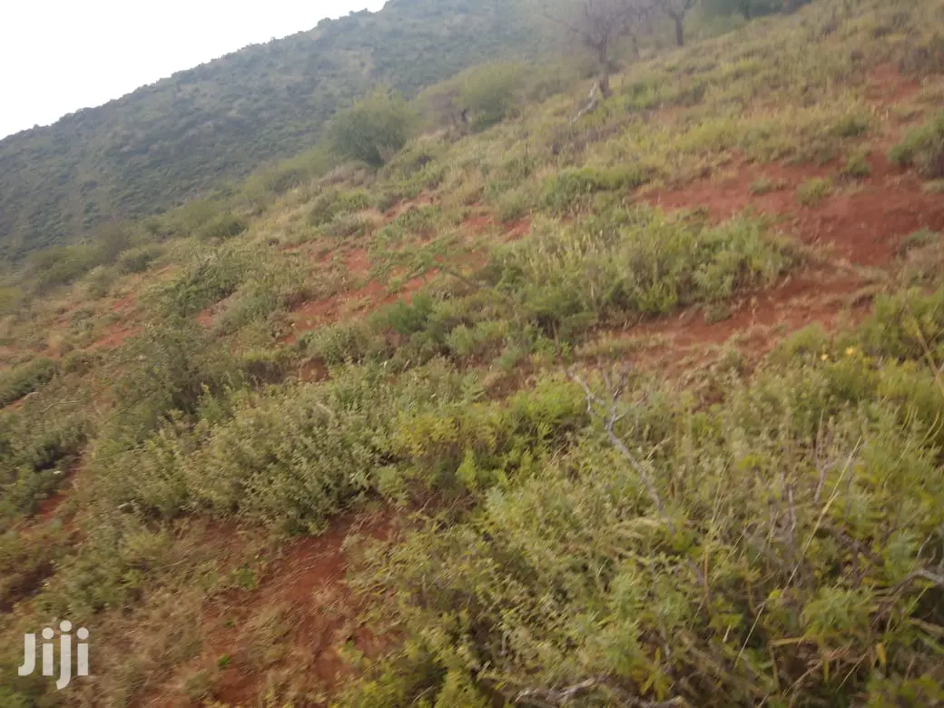 10-Acre Parcel on Serachi Road: 190k Per Acre in Kiserian