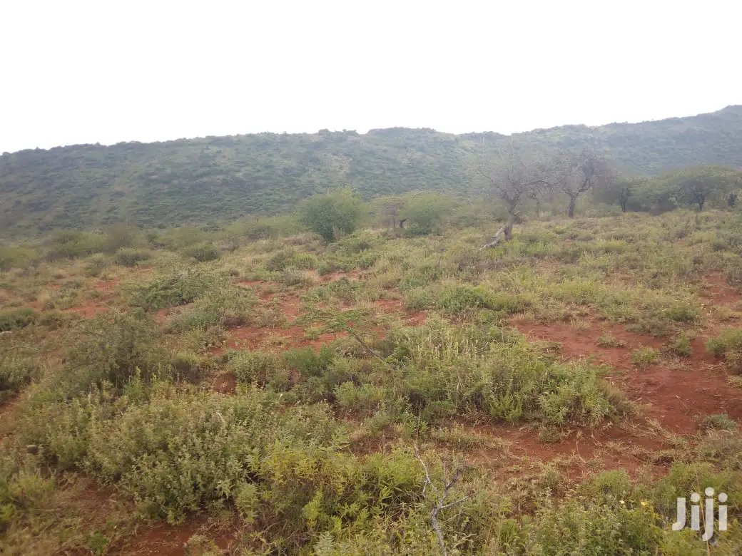 10-Acre Parcel on Serachi Road: 190k Per Acre in Kiserian