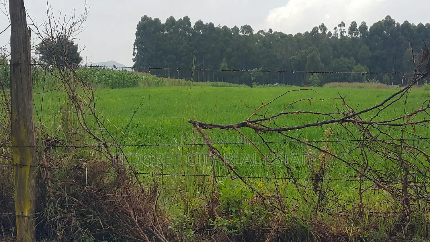 Affordable 1/4 Plots Near Tarmac in Chepkanga - Great Investment Opportunity in Eldoret CBD