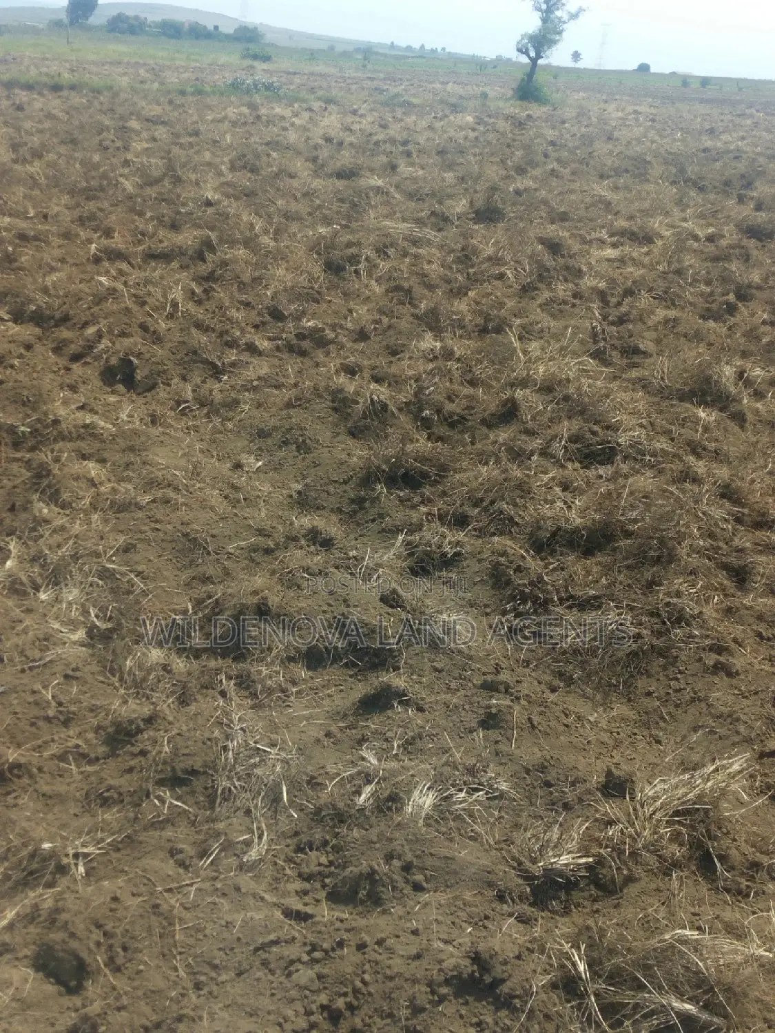 2-Acre Gem for Sale in Munyu, Naivasha - Prime Investment Opportunity in Naivasha