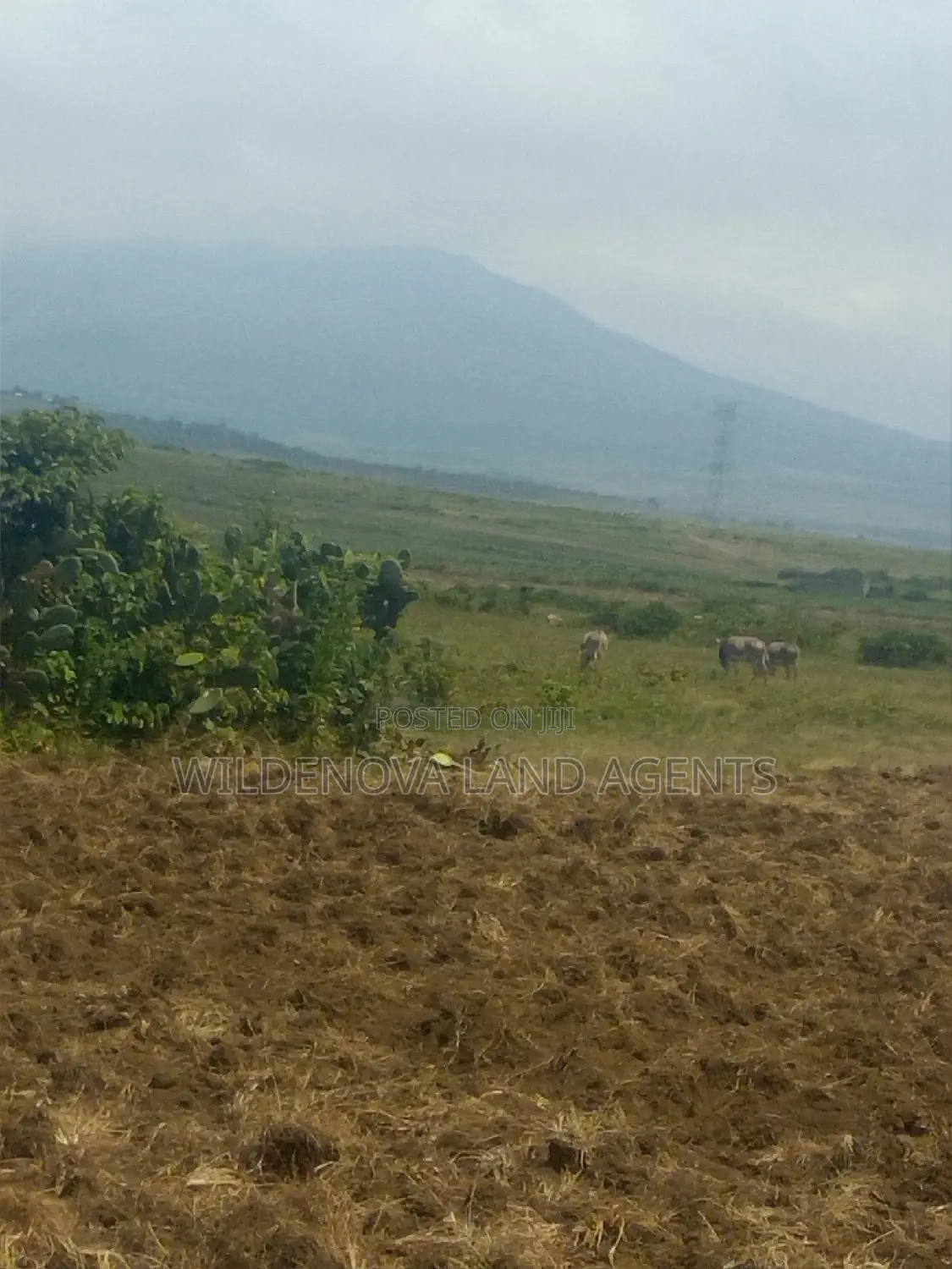 2-Acre Gem for Sale in Munyu, Naivasha - Prime Investment Opportunity in Naivasha