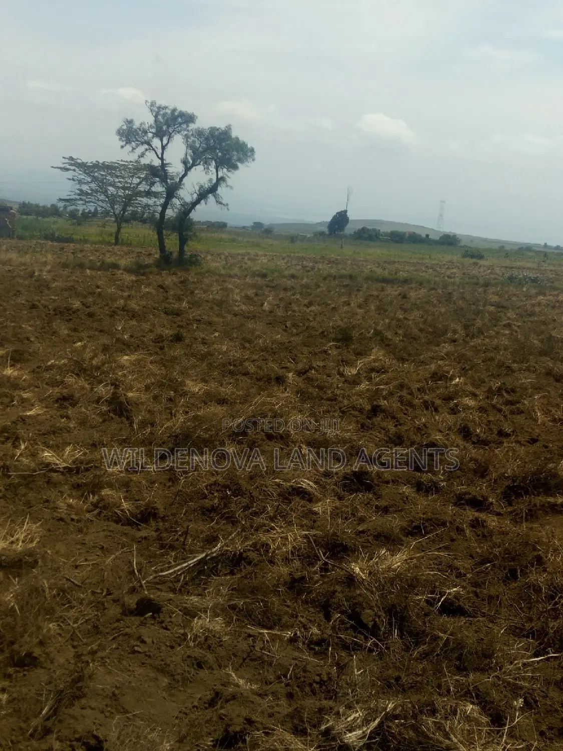 2-Acre Gem for Sale in Munyu, Naivasha - Prime Investment Opportunity in Naivasha