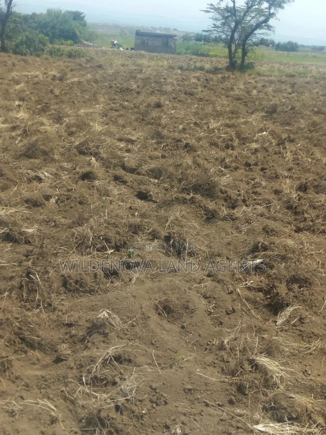 2-Acre Gem for Sale in Munyu, Naivasha - Prime Investment Opportunity in Naivasha