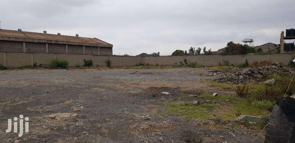 Spacious Yard for Rent - Ideal for Outdoor Entertainments in Hotel 67 Area