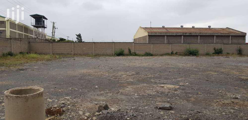 Spacious Yard for Rent - Ideal for Outdoor Entertainments in Hotel 67 Area