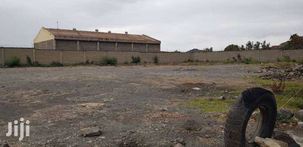 Spacious Yard for Rent - Ideal for Outdoor Entertainments in Hotel 67 Area