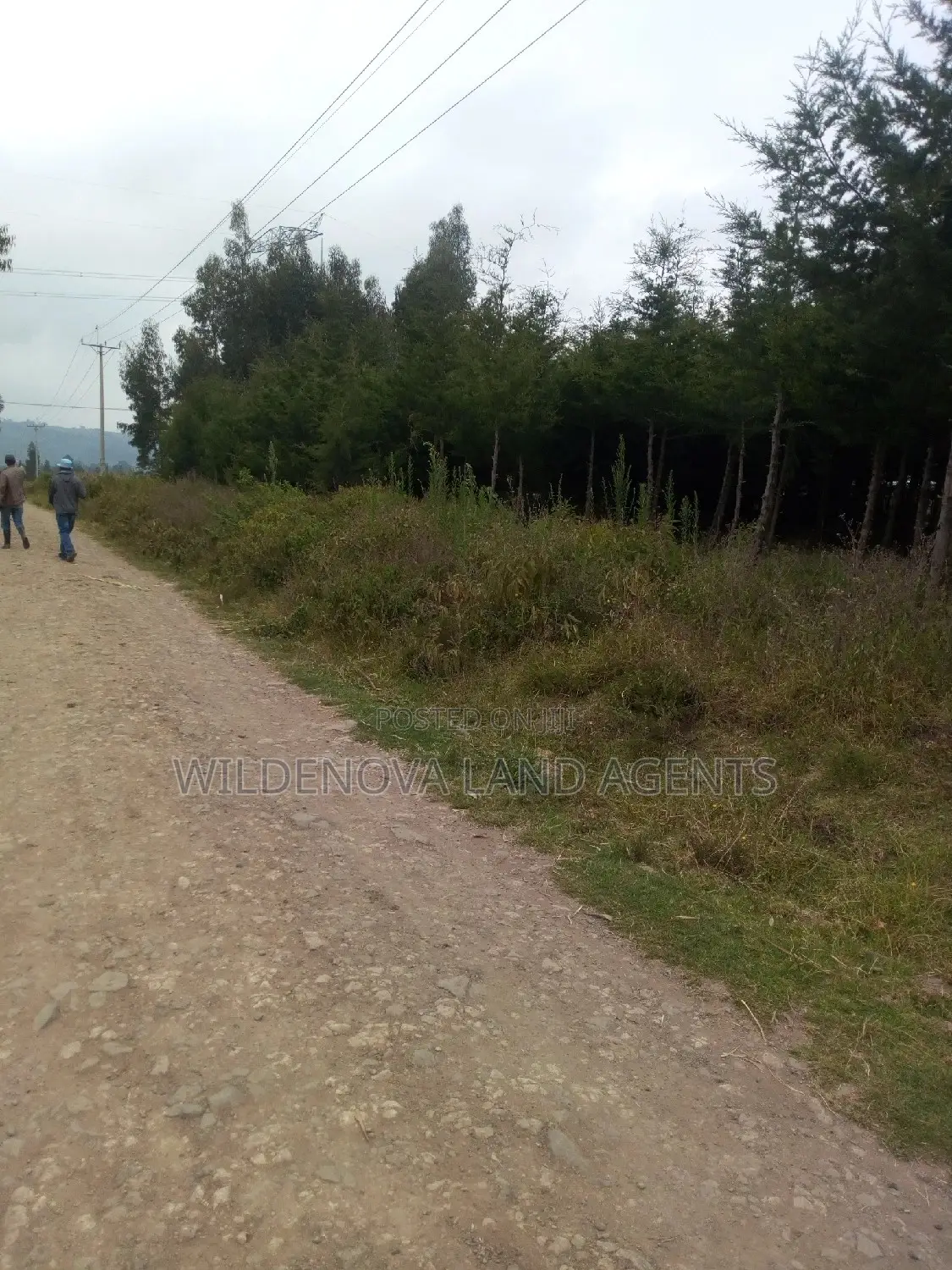 Kinungi, Naivasha - 50*100 Plot on Offer - Ideal for Residential or Commercial Development! in Naivasha