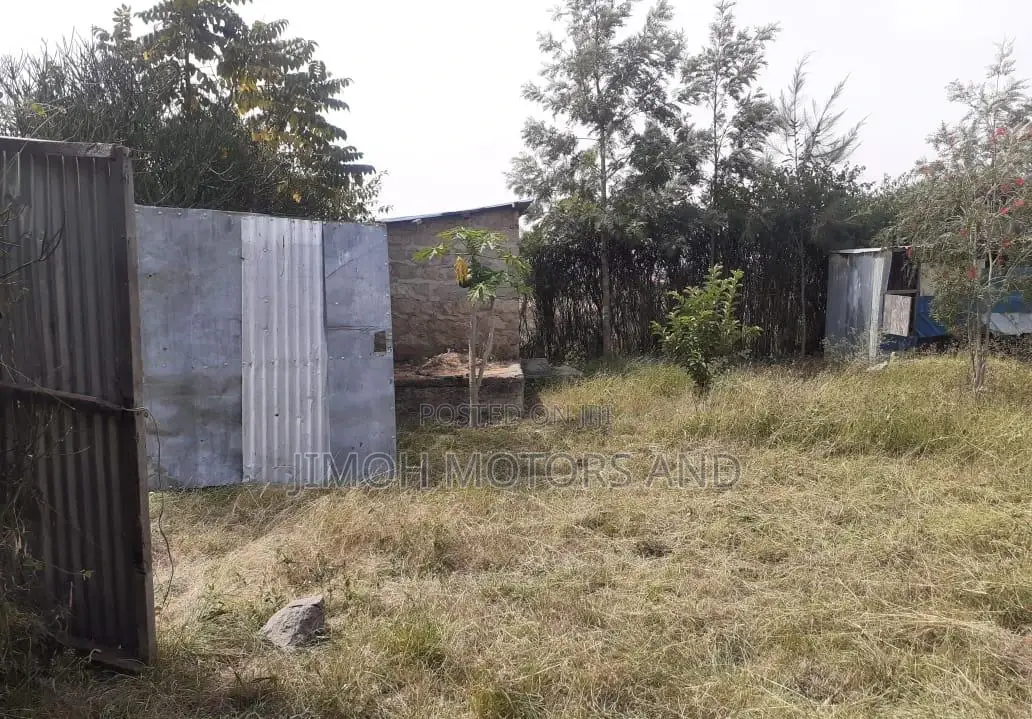 Spacious Unfinished Home: Ready for Your Personal Touches in Parklands/Highridge