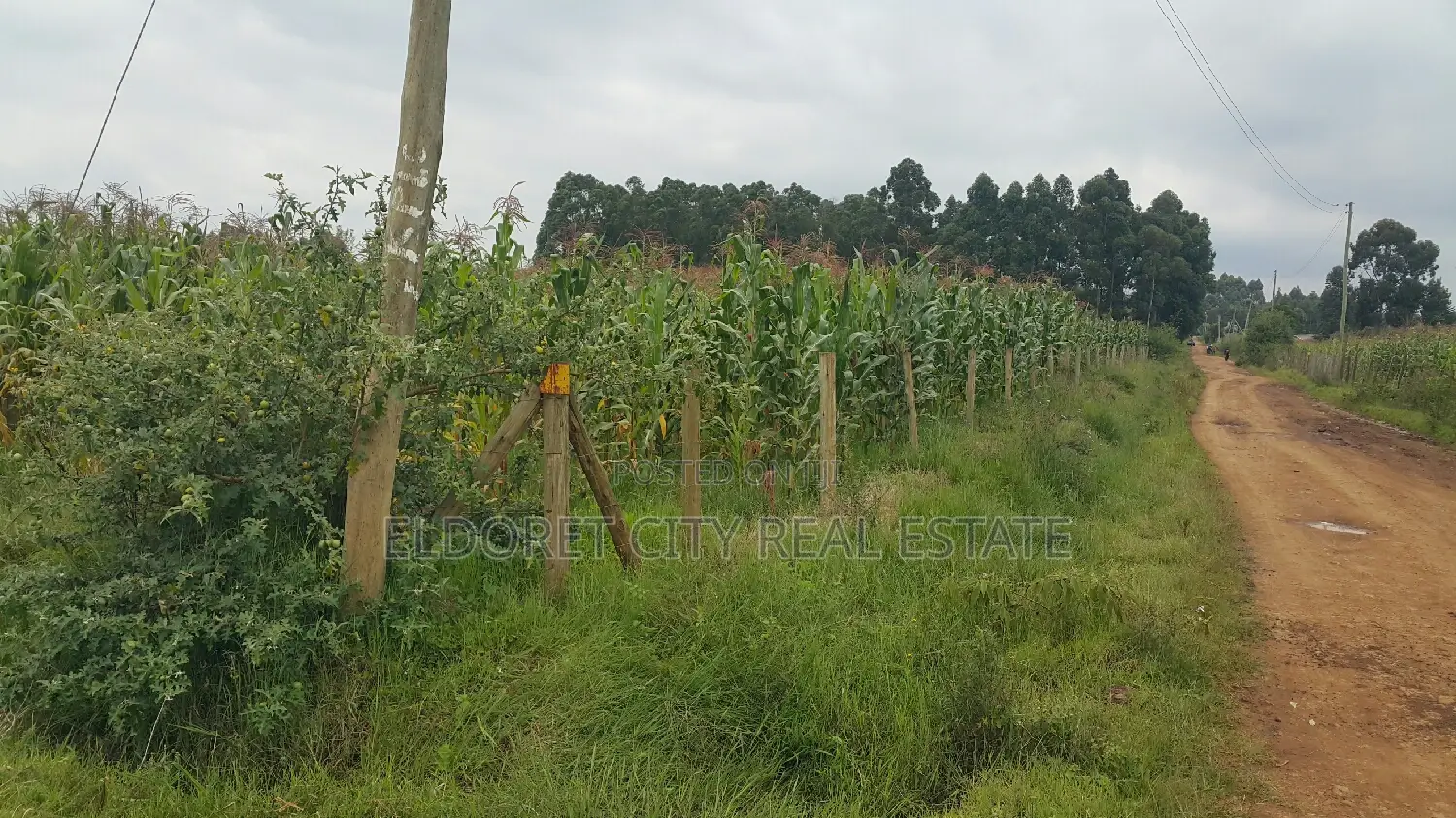 5 Acre Extension Close to Tarmac - Less Than 1km Away in Eldoret CBD