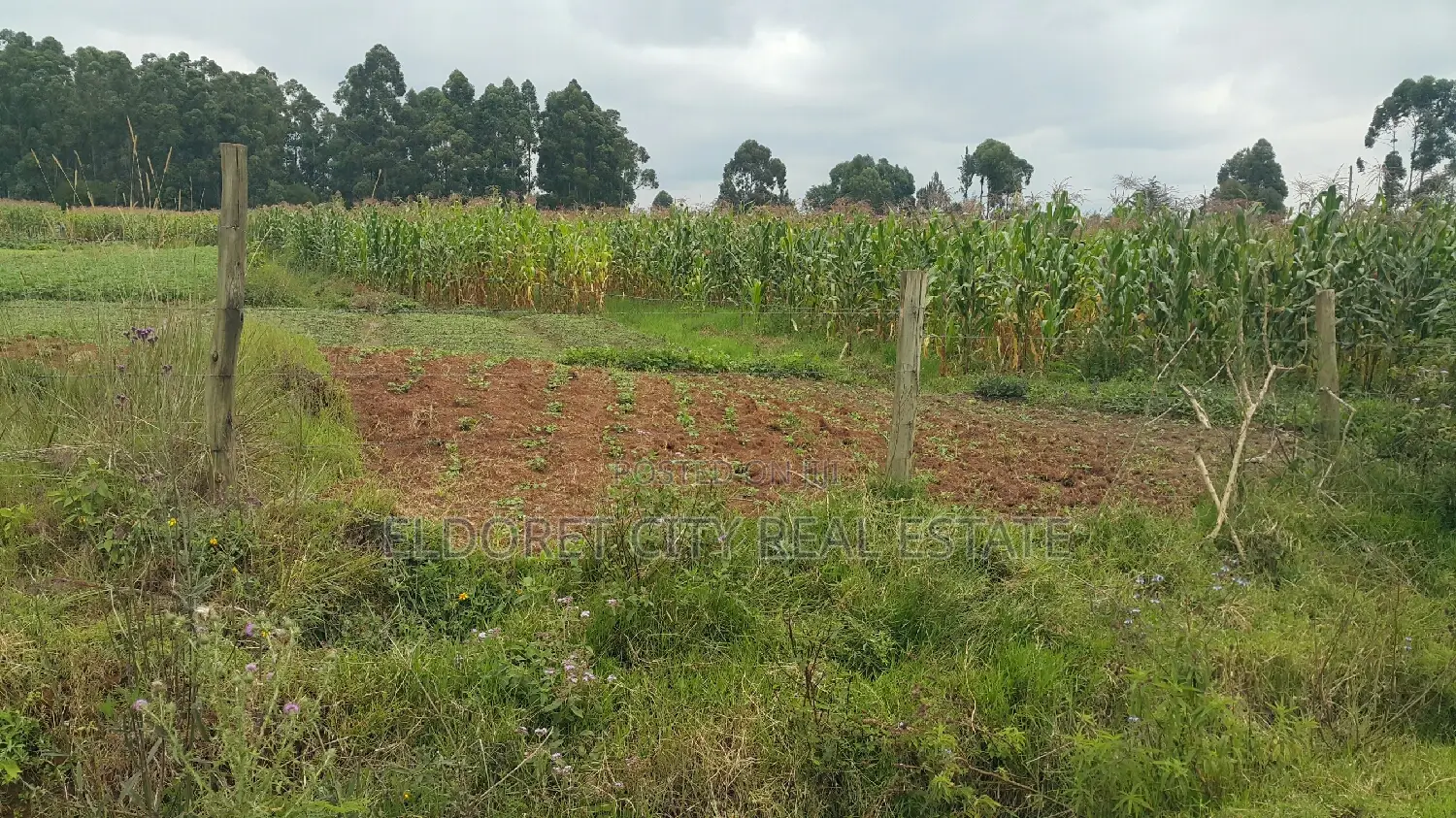 5 Acre Extension Close to Tarmac - Less Than 1km Away in Eldoret CBD
