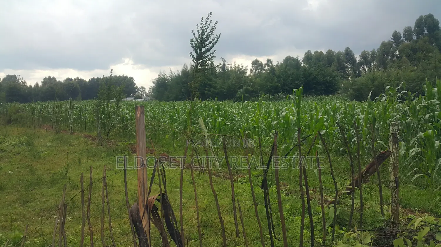 Kapseret 1/4: Affordable and Spacious Land Plots for Sale Now in Eldoret CBD