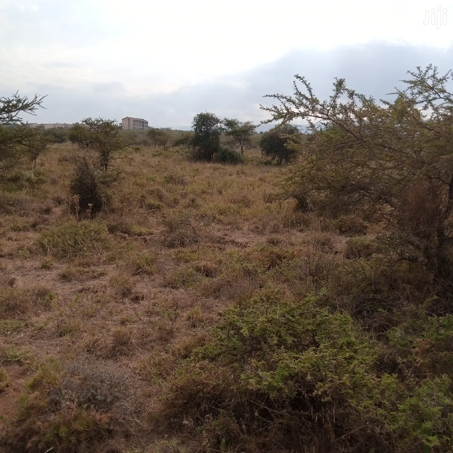 Idyllic 5 Acre Plot in Ewuaso Kedong for Sale - 850k in Ewuaso Oonkidong'I
