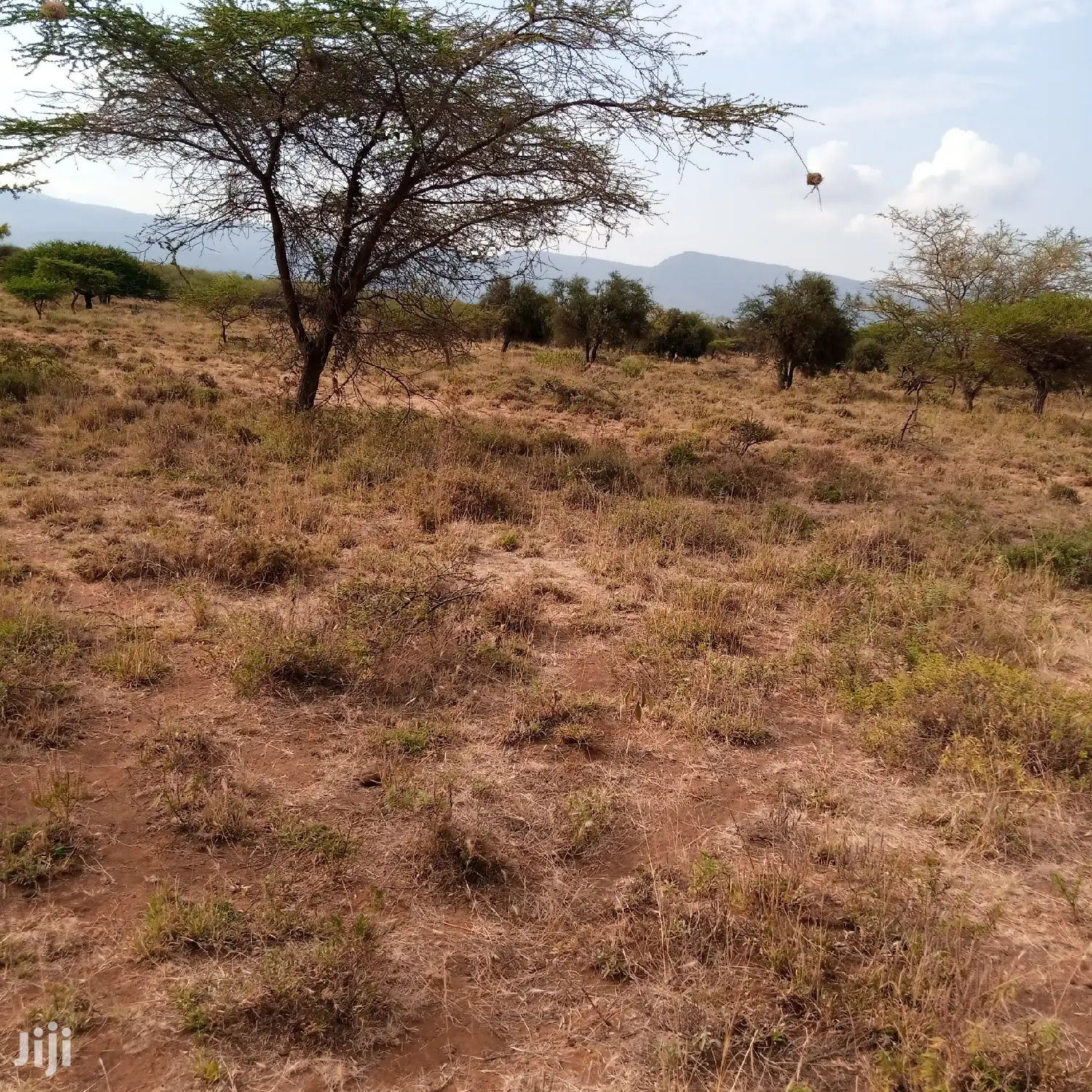 Idyllic 5 Acre Plot in Ewuaso Kedong for Sale - 850k in Ewuaso Oonkidong'I