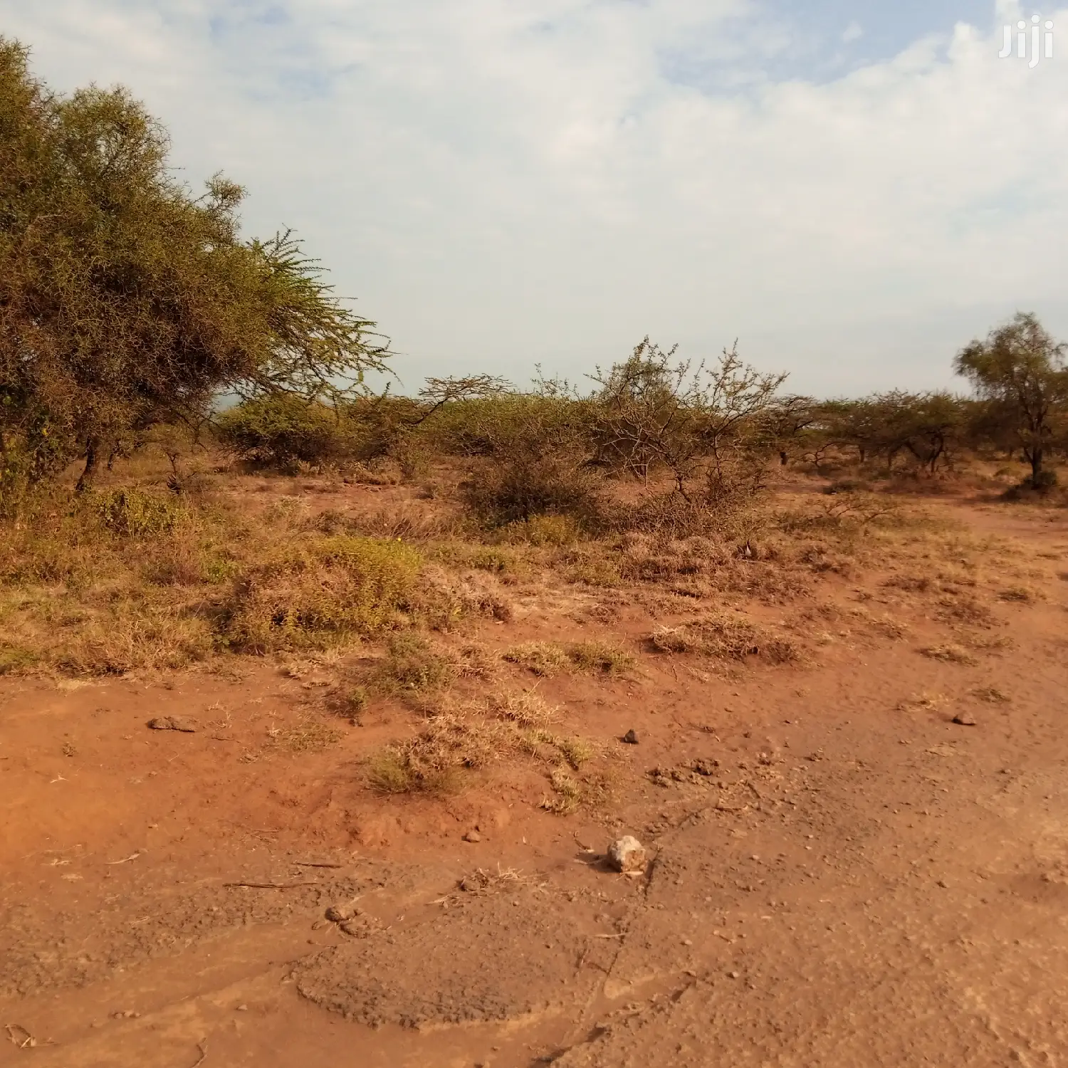 Idyllic 5 Acre Plot in Ewuaso Kedong for Sale - 850k in Ewuaso Oonkidong'I