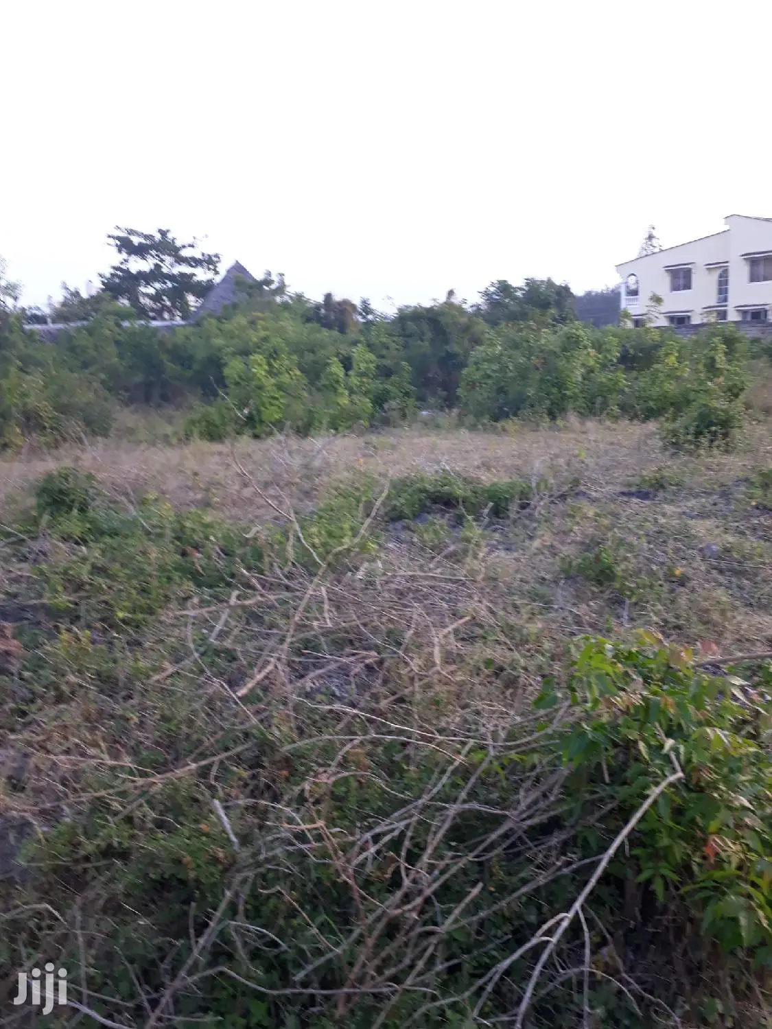 Quarter Acre Land Plot in Shanzu - Perfect for Development in Kisauni