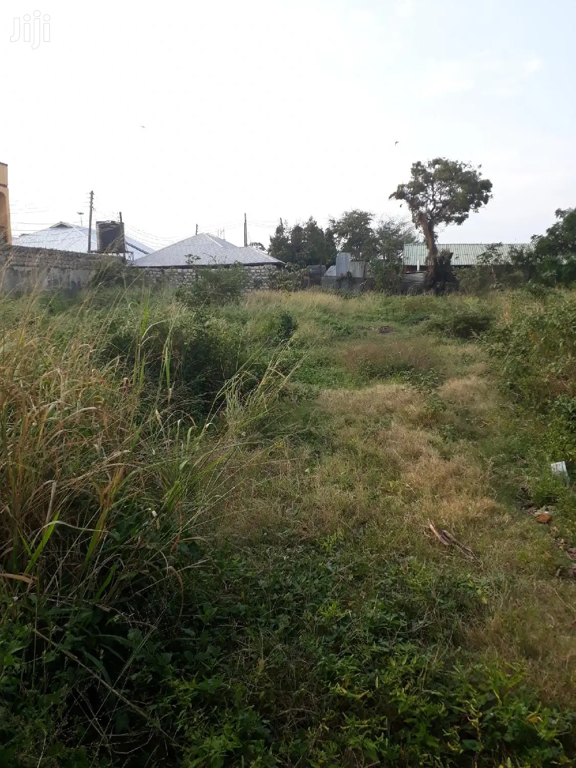 Nyali Quater Acre Plots - Real Estate Opportunity - Invest Today for Tomorrow's Success in Nyali