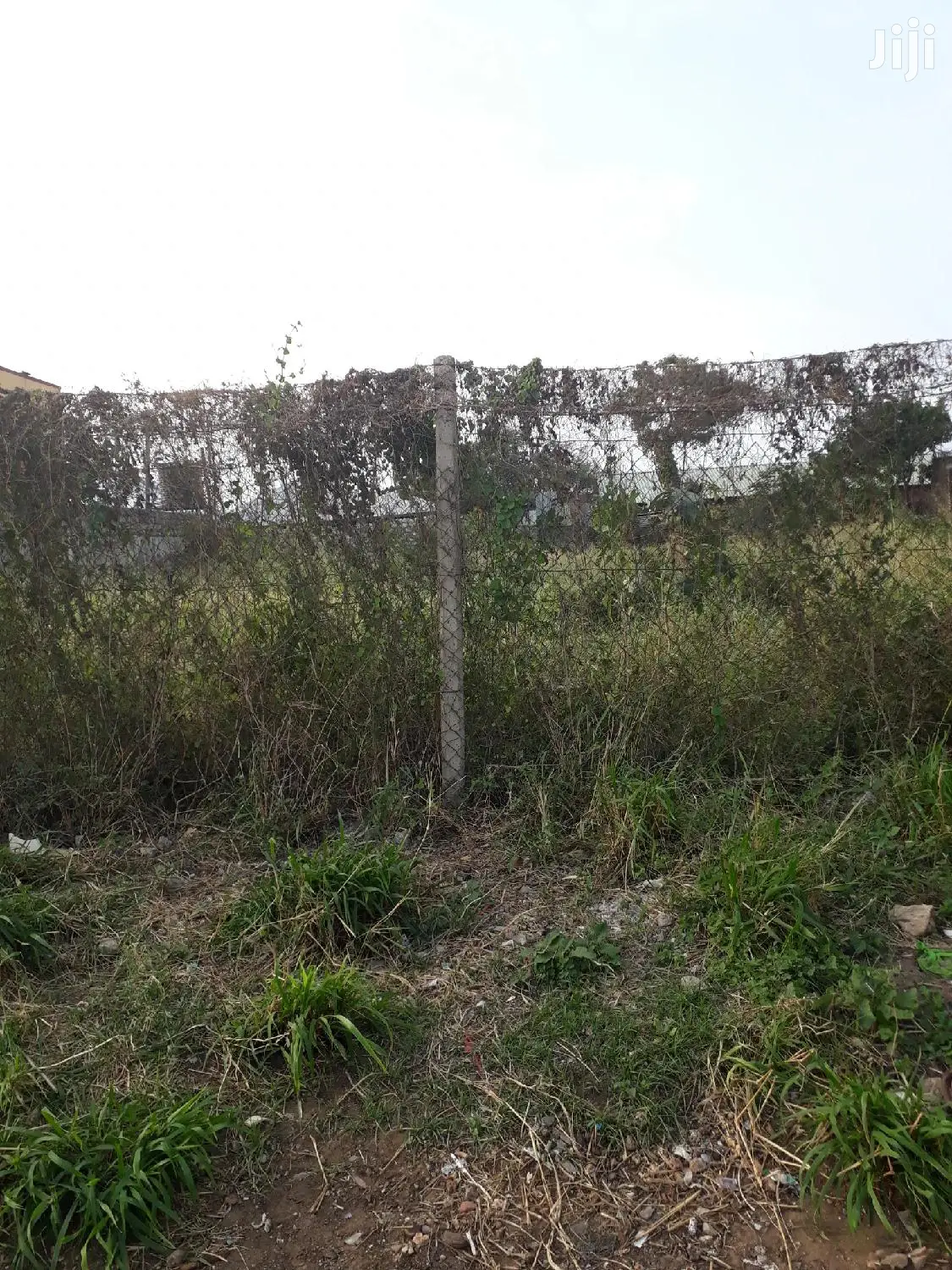 Nyali Quater Acre Plots - Real Estate Opportunity - Invest Today for Tomorrow's Success in Nyali