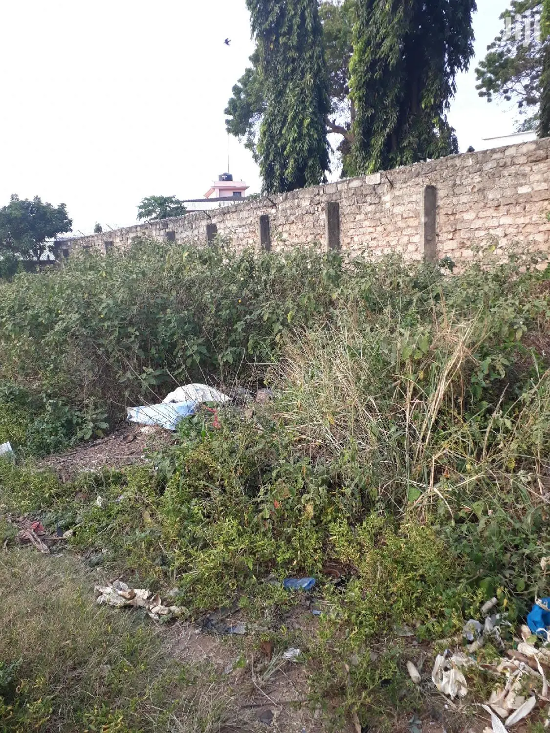 Nyali Quater Acre Plots - Real Estate Opportunity - Invest Today for Tomorrow's Success in Nyali