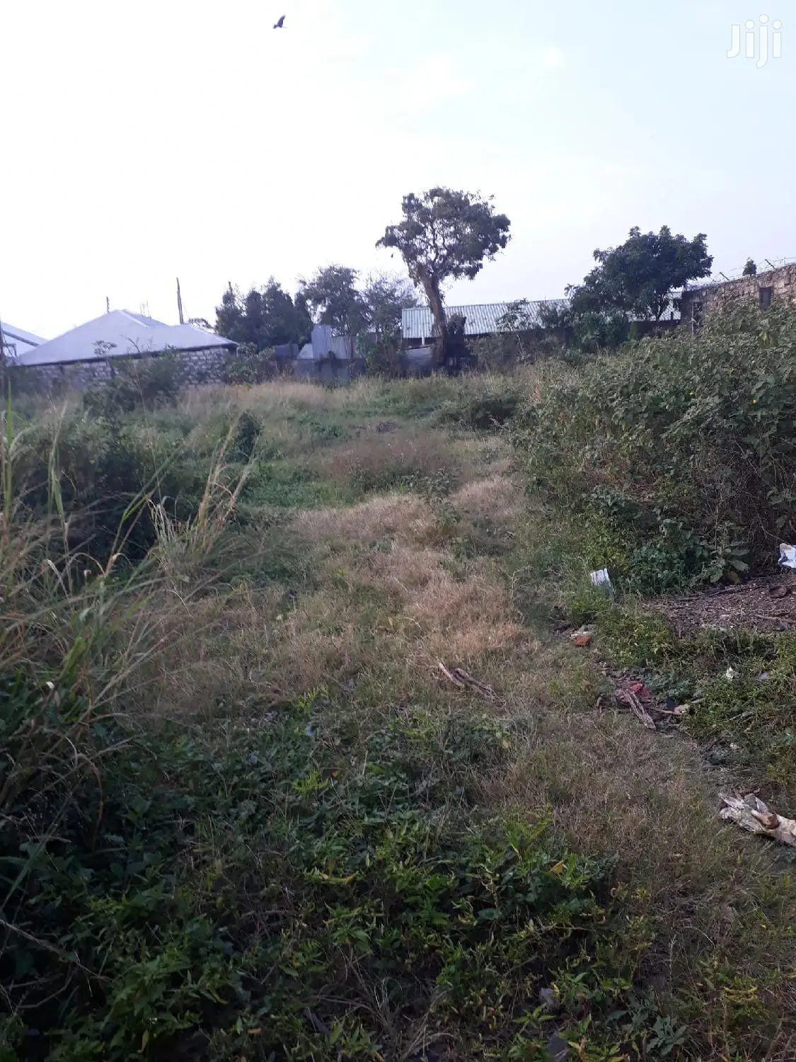 Nyali Quater Acre Plots - Real Estate Opportunity - Invest Today for Tomorrow's Success in Nyali