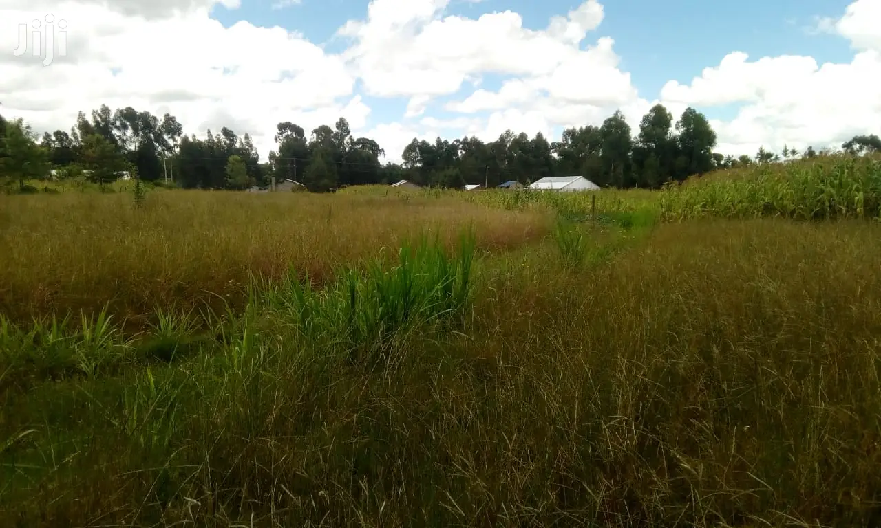 Plot Sale in Oljoroorok: Discover the Opportun in Weru