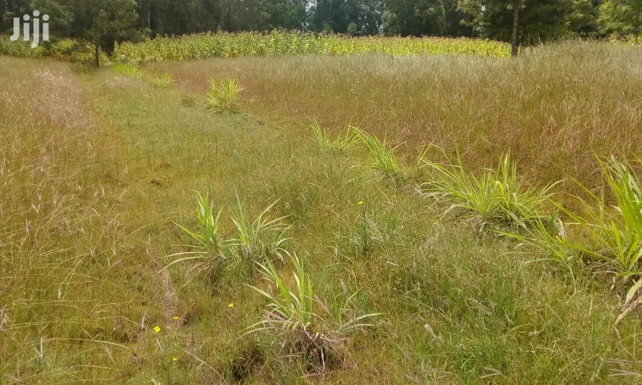 Plot Sale in Oljoroorok: Discover the Opportun in Weru