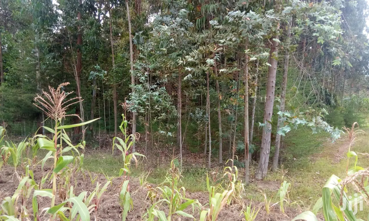 Plot Sale in Oljoroorok: Discover the Opportun in Weru