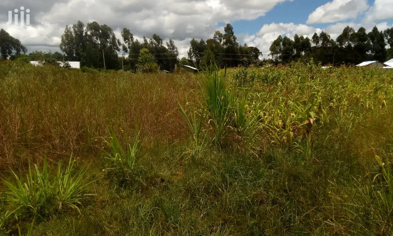 Plot Sale in Oljoroorok: Discover the Opportun in Weru