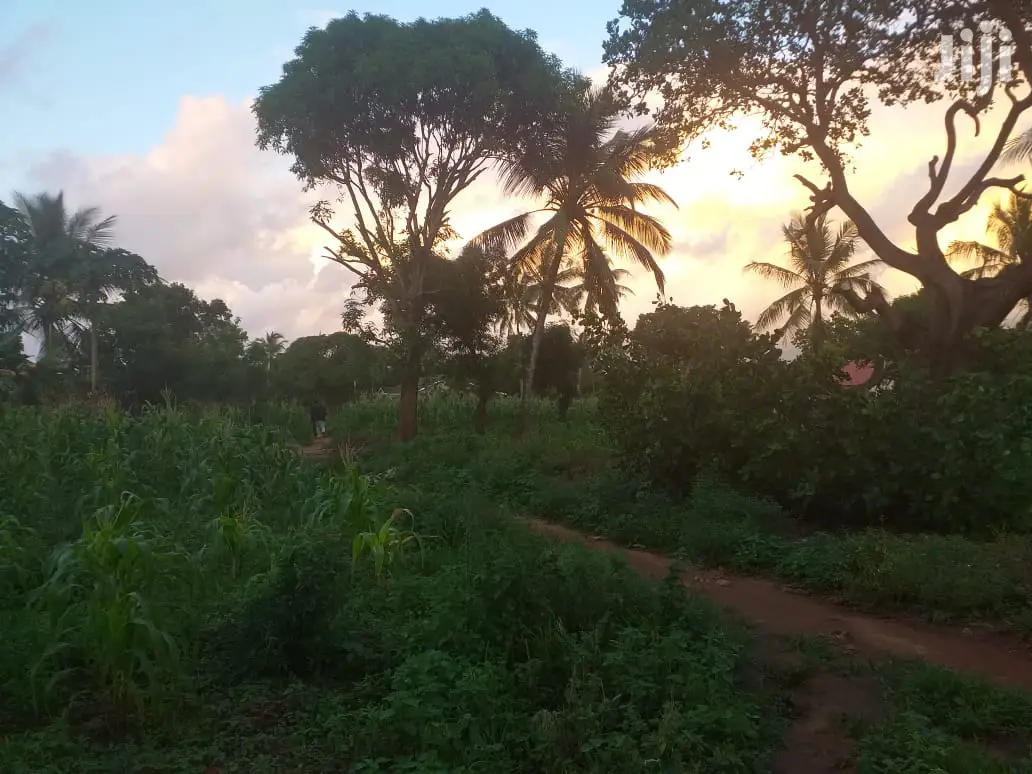 Half Acre Plots Nyali - Quality Land for Sale at Competitive Prices in Nyali