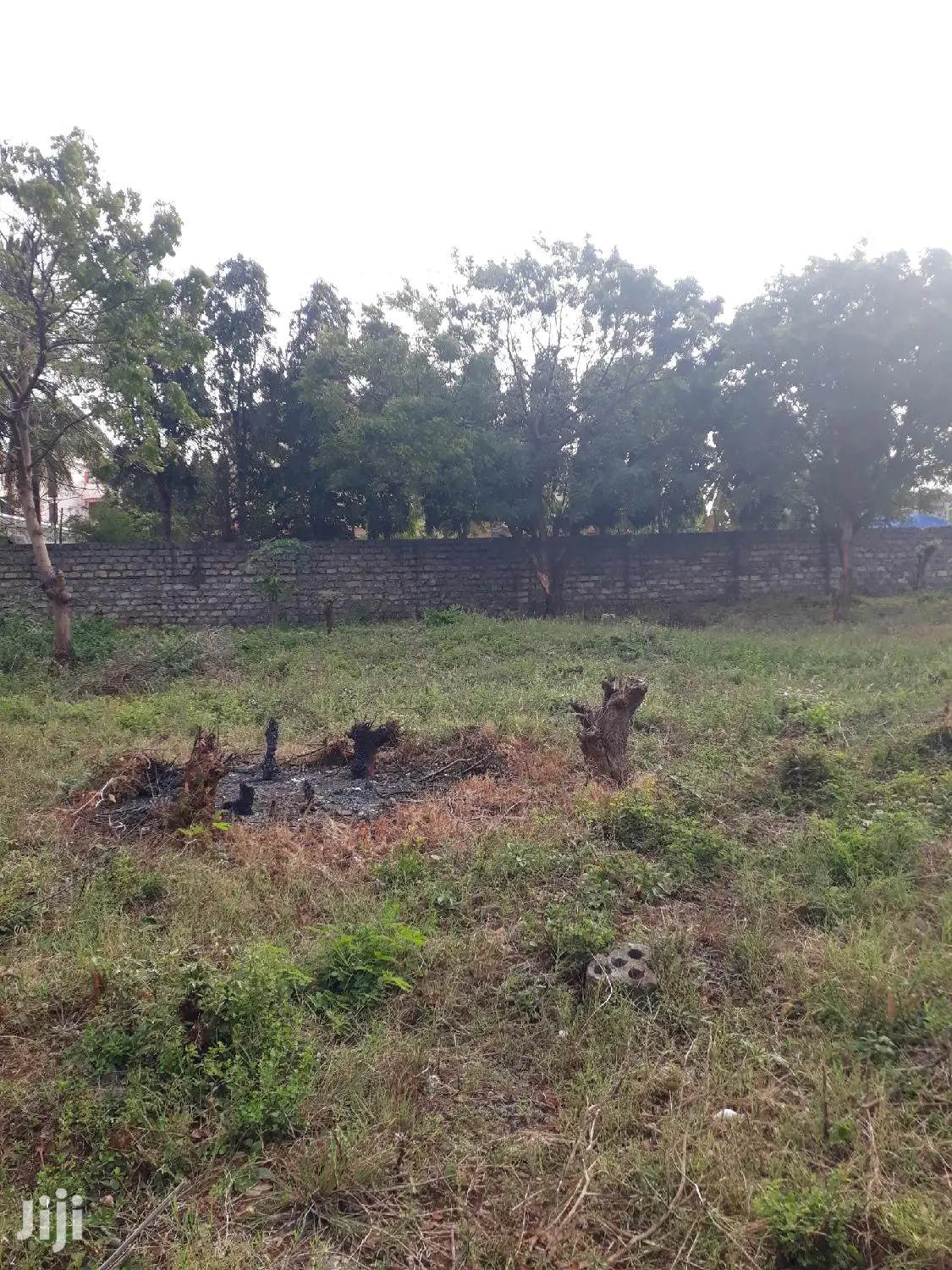 Half Acre Plots Nyali - Quality Land for Sale at Competitive Prices in Nyali