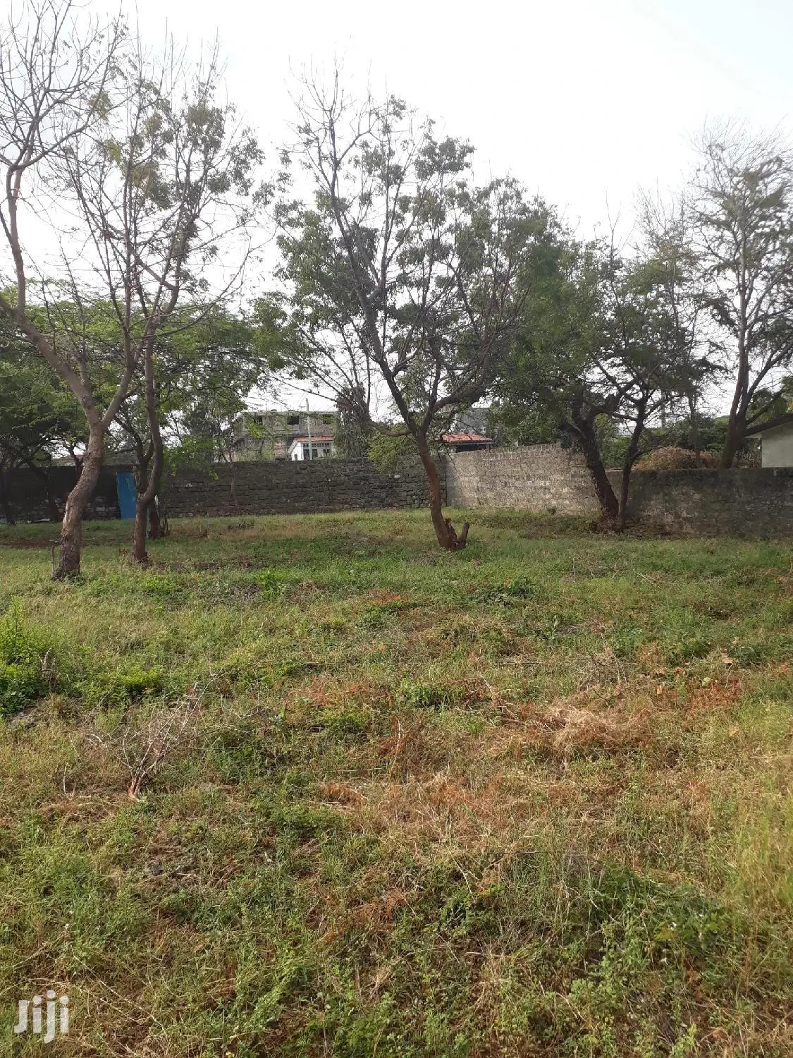 Half Acre Plots Nyali - Quality Land for Sale at Competitive Prices in Nyali