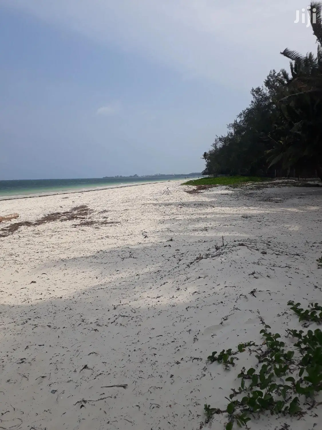 Nyali Beach Land - 1 Acre for Sale - Don't Miss Out! in Nyali
