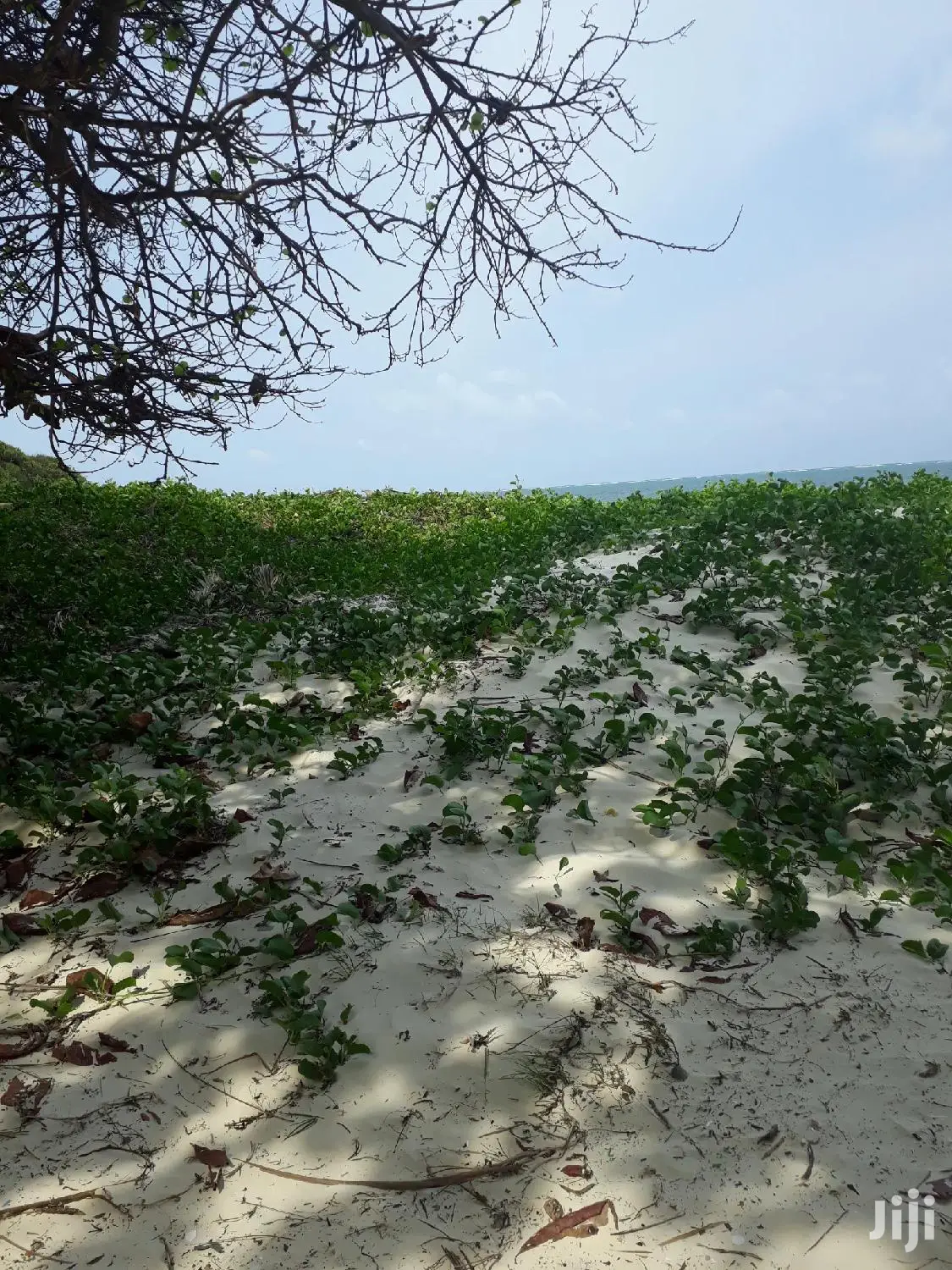Nyali Beach Land - 1 Acre for Sale - Don't Miss Out! in Nyali