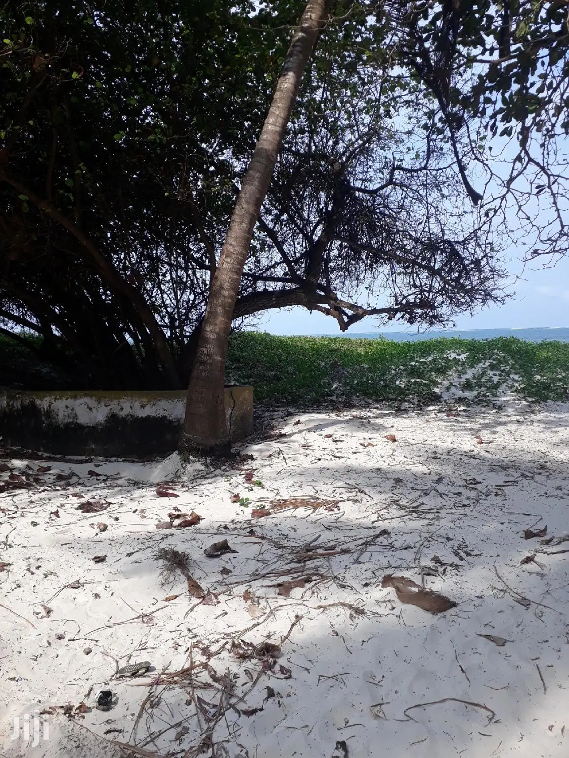 Nyali Beach Land - 1 Acre for Sale - Don't Miss Out! in Nyali