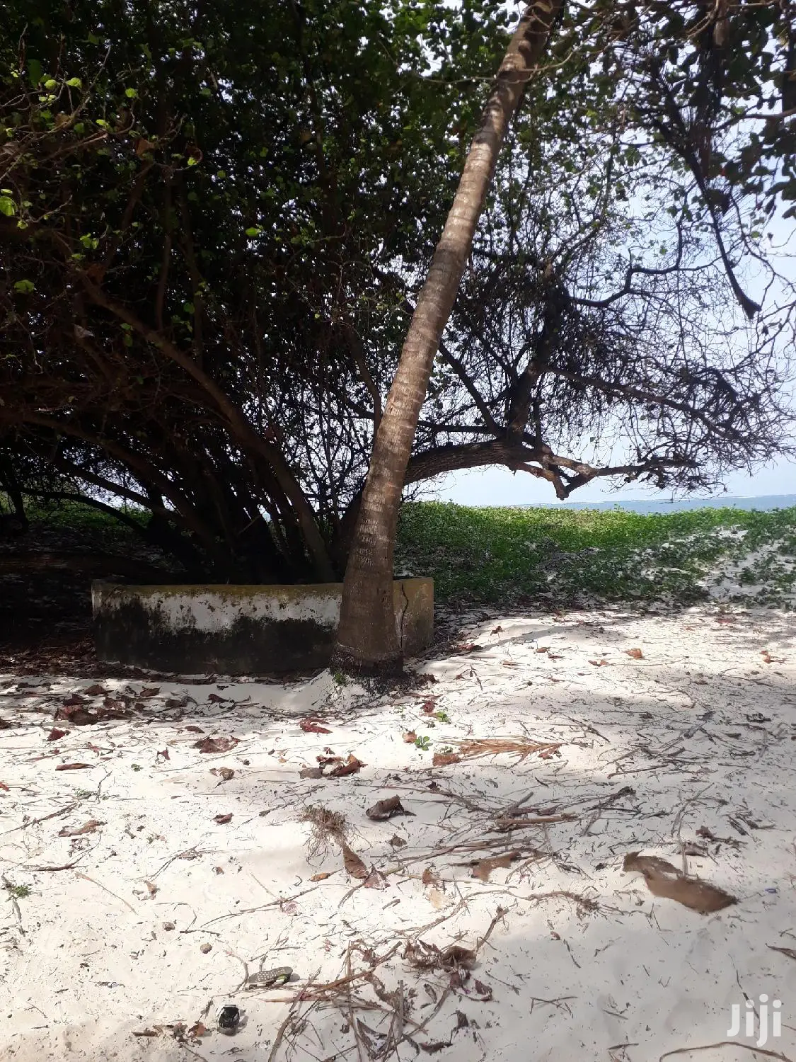 Nyali Beach Land - 1 Acre for Sale - Don't Miss Out! in Nyali