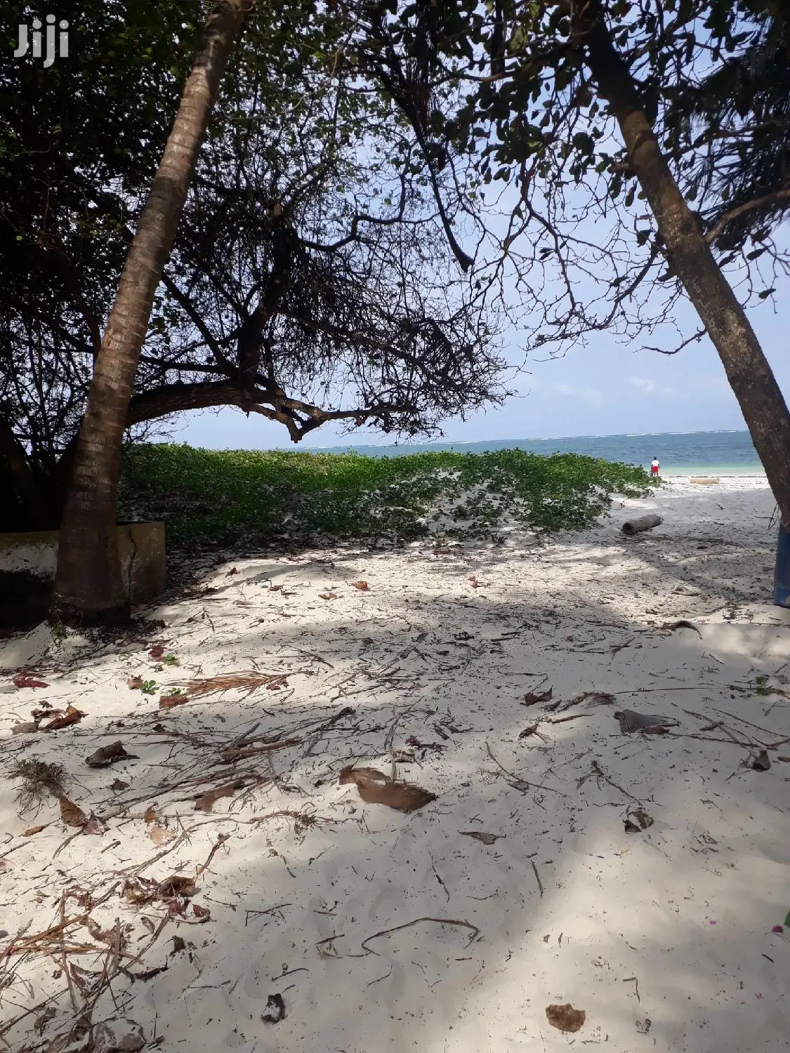 Nyali Beach Land - 1 Acre for Sale - Don't Miss Out! in Nyali