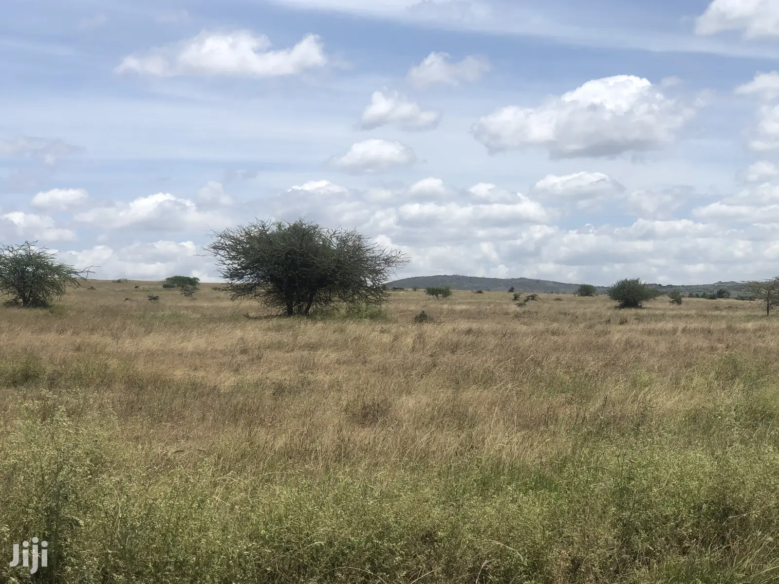 32 Acres in Kinanie: Ideal for Agriculture or Property Development in Kinanie