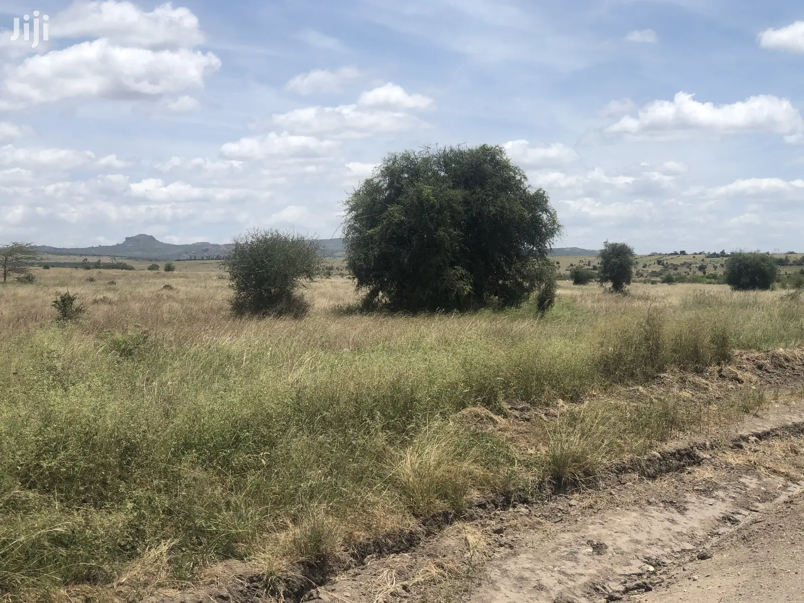 32 Acres in Kinanie: Ideal for Agriculture or Property Development in Kinanie