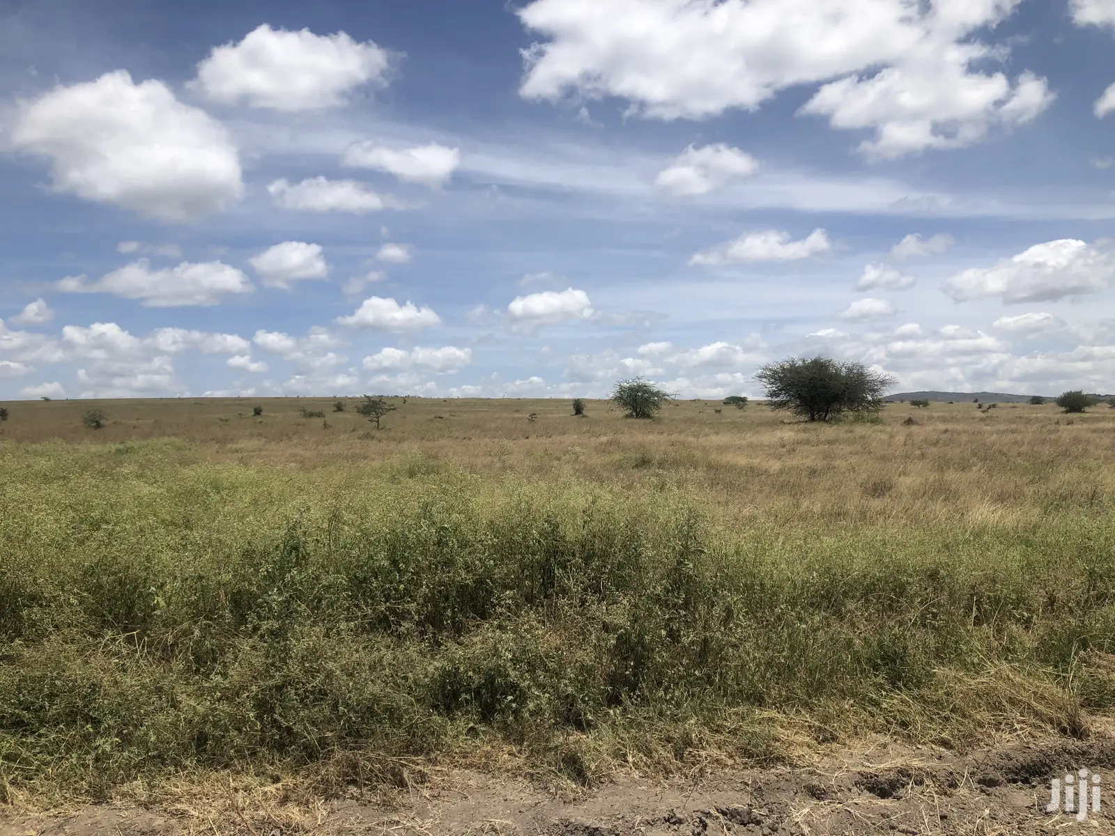 32 Acres in Kinanie: Ideal for Agriculture or Property Development in Kinanie