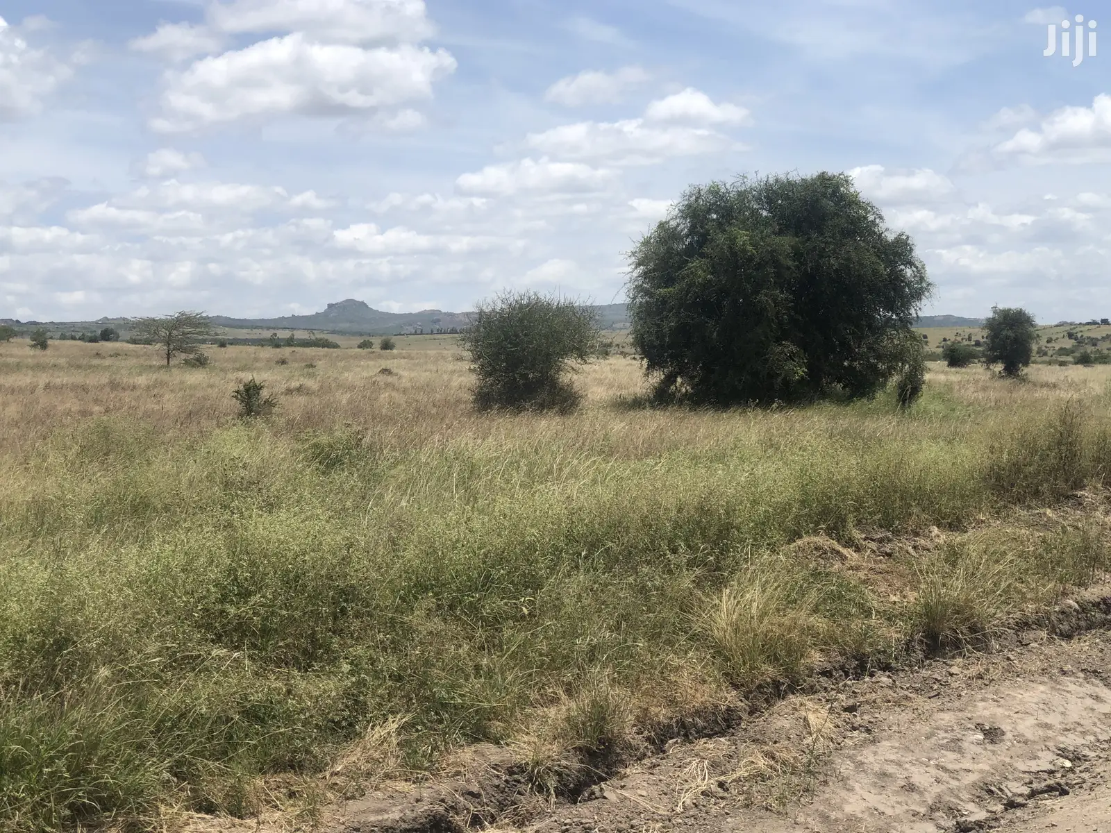 32 Acres in Kinanie: Ideal for Agriculture or Property Development in Kinanie