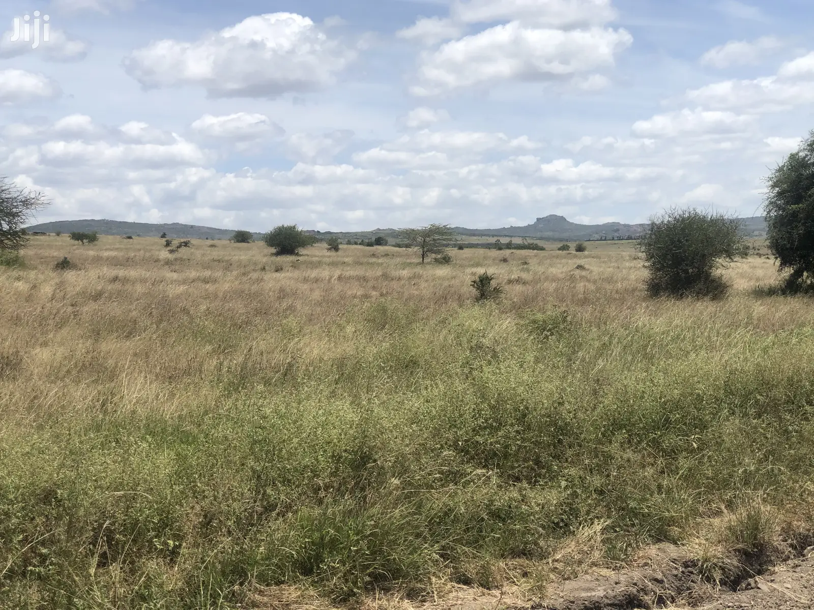 32 Acres in Kinanie: Ideal for Agriculture or Property Development in Kinanie