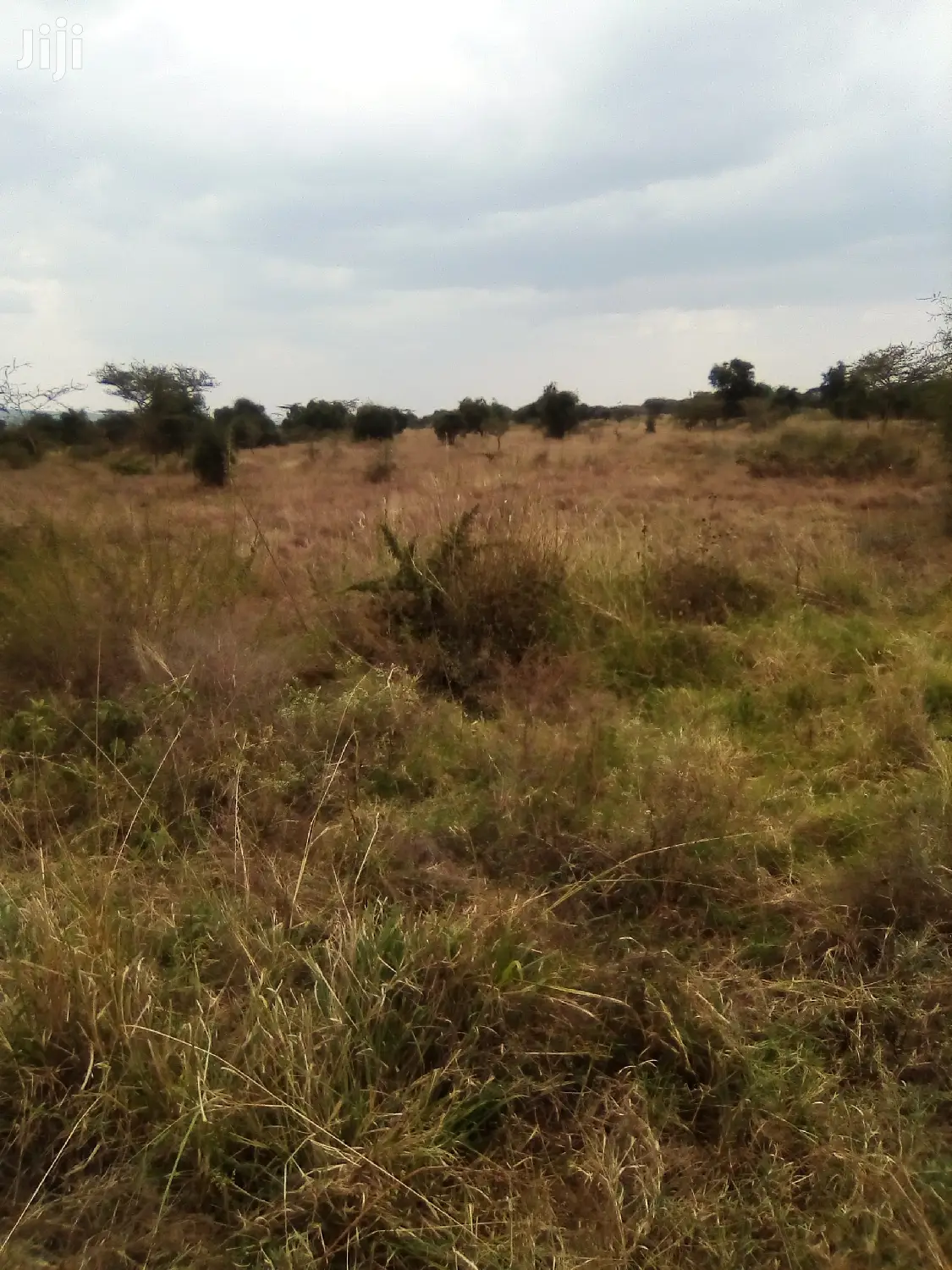 . Konza City: Unlock Your Land's Potential Today in Mwala
