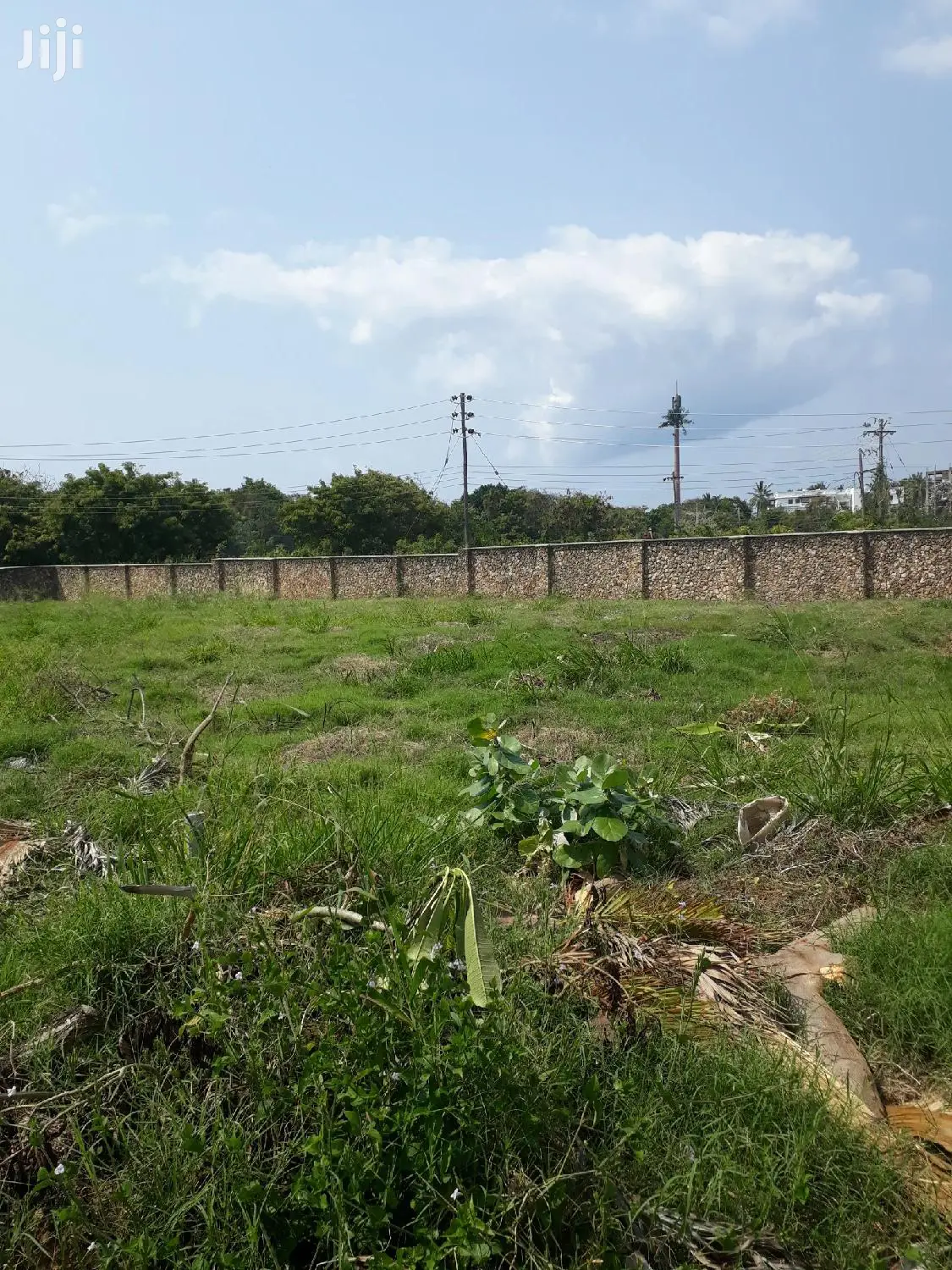 One-Acre Shanzu Land for Sale: Ideal Investment Opportunity in Kisauni
