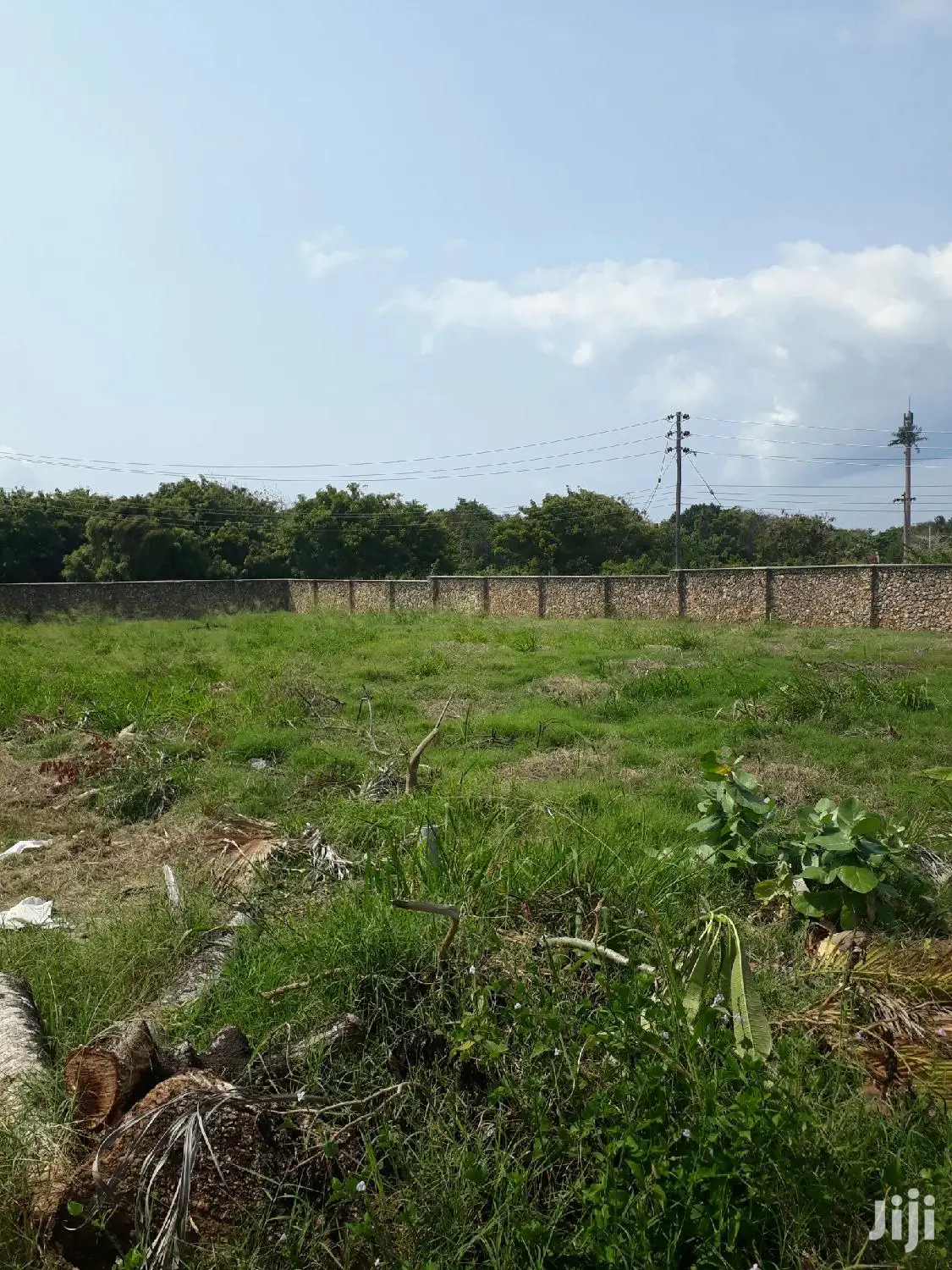 One-Acre Shanzu Land for Sale: Ideal Investment Opportunity in Kisauni