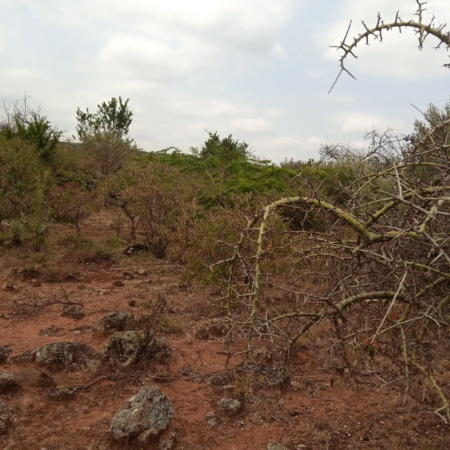 Three-Acre Plot in Oloishobor: Priced at 1.8 Million Per Acre in Kiserian
